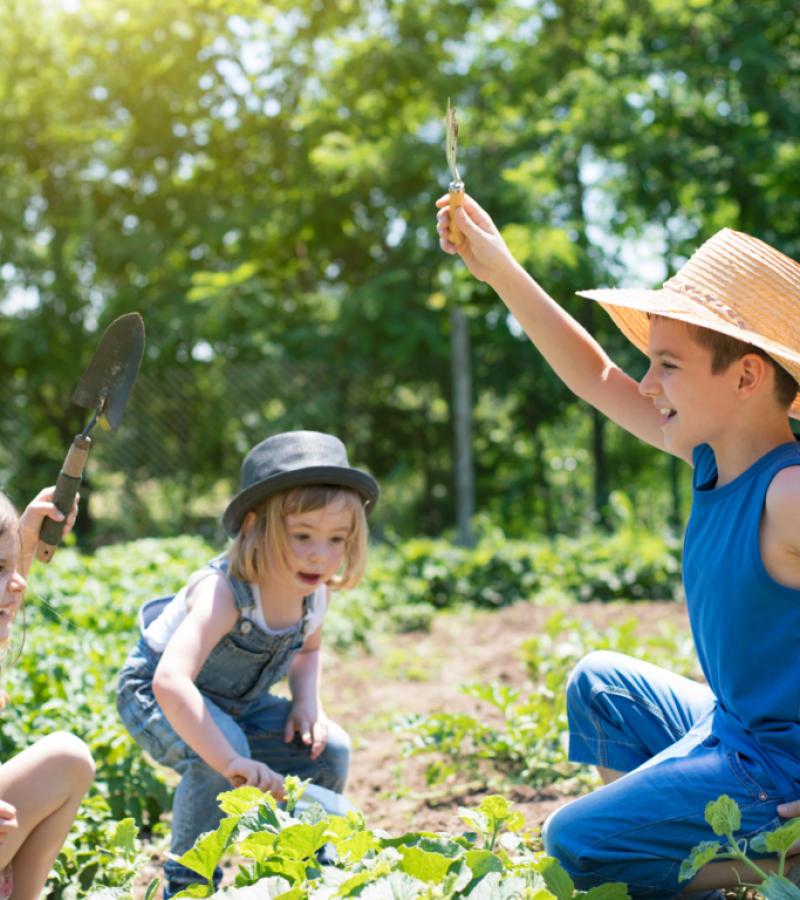 Design ohne Titel (36)